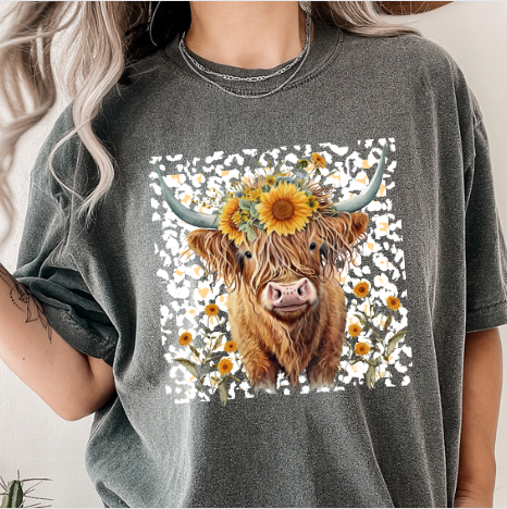 Highland Cow-Sunflower